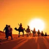 Desert Safari Tour – 1 Nights / 1 Days