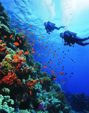 Red Sea Adventure – 5 Nights / 6 Days