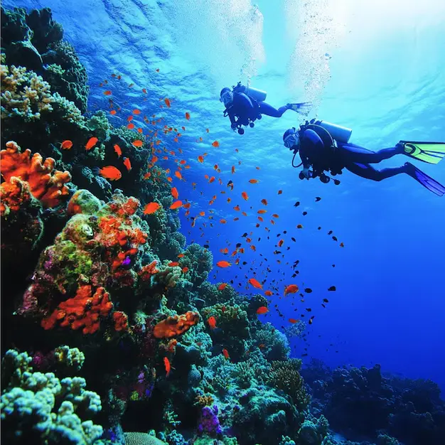 Red Sea Adventure – 5 Nights / 6 Days